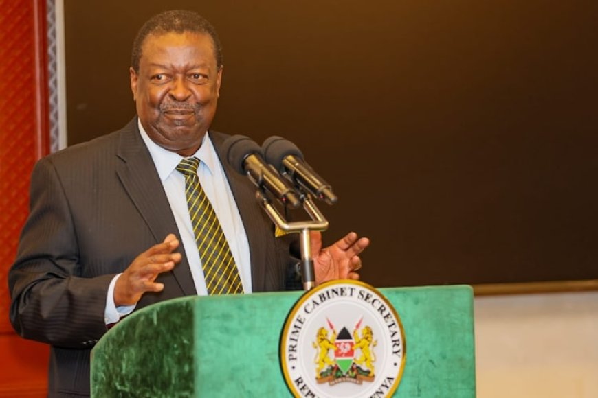 Mixed Reactions As Mudavadi Says JKIA Is Not For  Sale