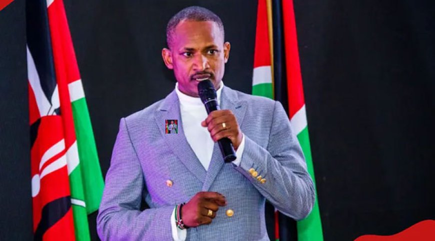 Babu owino Declares Himself As  The Chief Opposition Leader