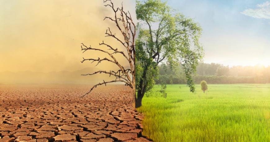 The Impact of Climate Change on Human Lives