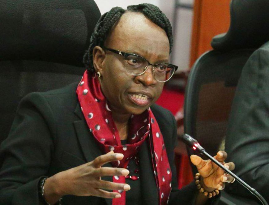 Senators Seek to Audit Private Revenue Collection Firms in Counties