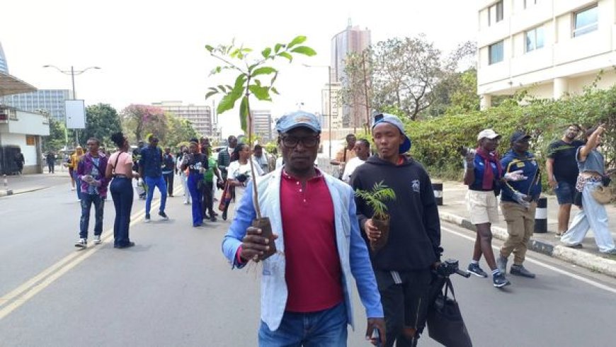 The Significance of Planting Trees: A Key to Sustainable Growth