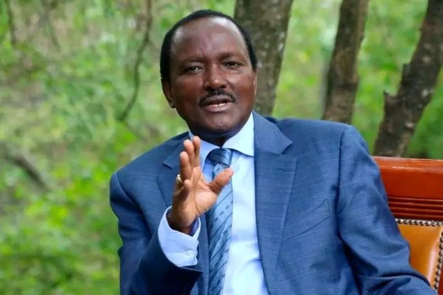 Kalonzo Musyoka Hails Gen Z  on the 61 st mashujaa day