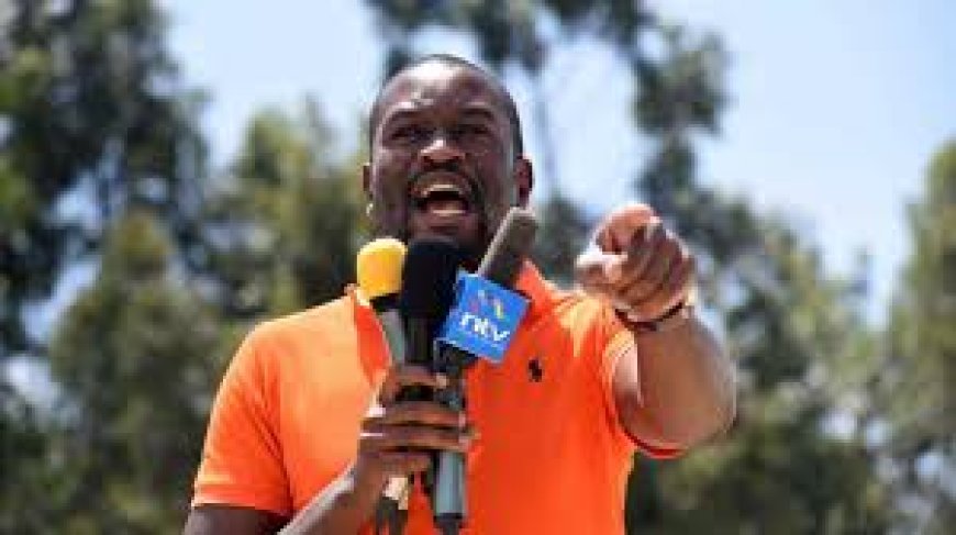 ODM Opposes Senate Bill Seeking to Extend Term Limits for Elected Officials