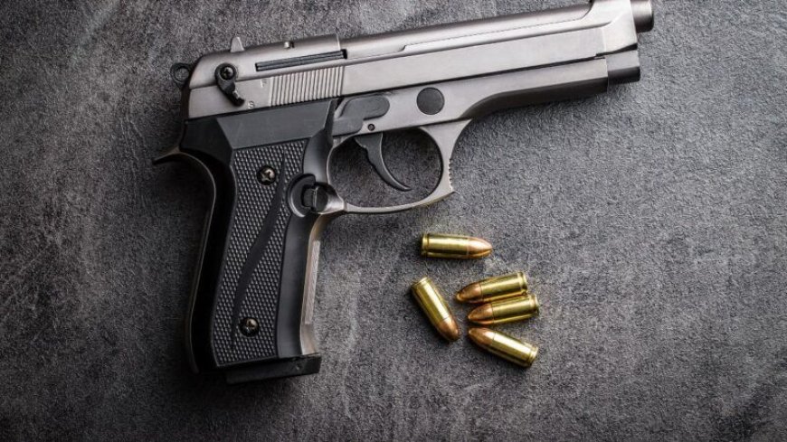 Slain Wells Fargo Manager’s Gun Recovered in Siaya Shootout